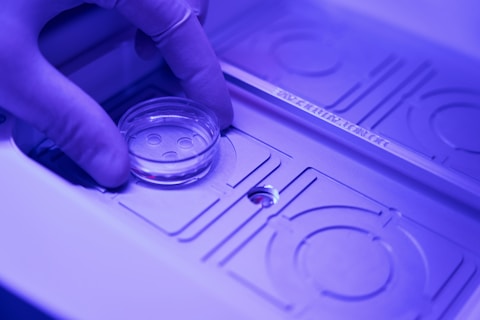 Personalised Stem Cell Therapy